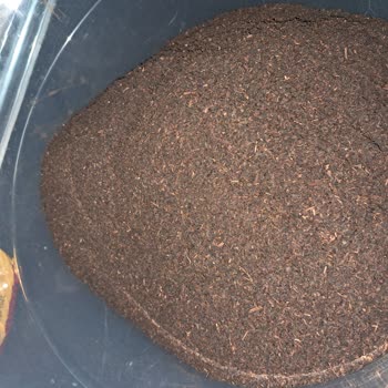 Çaykur Tiryaki Çayda Toz Oranı Ve Düşük Kalite Hayal Kırıklığı