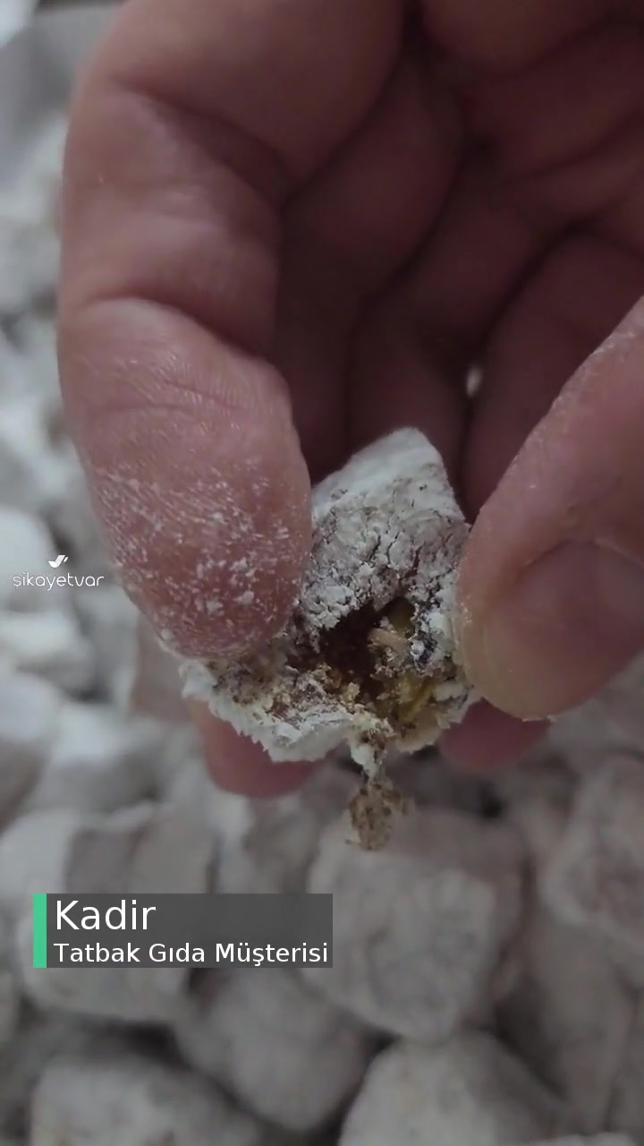 Tatbak'tan Alınan Lokum Kurtlu Çıktı videonun kapak resmi