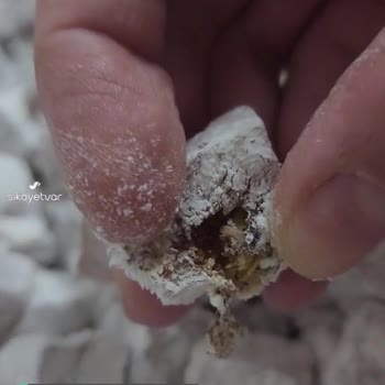 Tatbak'tan Alınan Lokum Kurtlu Çıktı