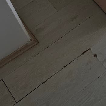Rutubetli Ve Kokulu Oda, Yetersiz Temizlik Ve Çözüm Sunulmayan Mağduriyet
