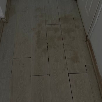 Rutubetli Ve Kokulu Oda, Yetersiz Temizlik Ve Çözüm Sunulmayan Mağduriyet