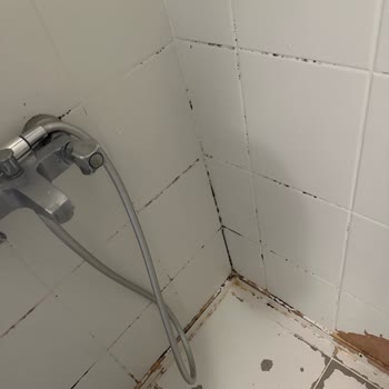 Rutubetli Ve Kokulu Oda, Yetersiz Temizlik Ve Çözüm Sunulmayan Mağduriyet