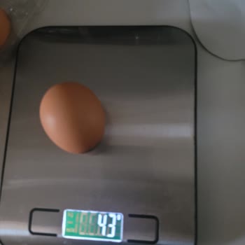 Yumurta Paketindeki Gramaj Farkı Hayal Kırıklığına Uğrattı