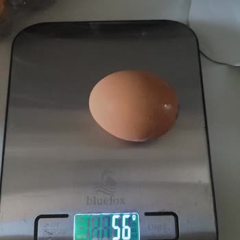 Yumurta Paketindeki Gramaj Farkı Hayal Kırıklığına Uğrattı