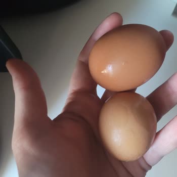 Yumurta Paketindeki Gramaj Farkı Hayal Kırıklığına Uğrattı