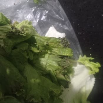 Bozuk Kıvırcık Ve Hayal Kırıklığı Yaşatan Online Alışveriş Deneyimi