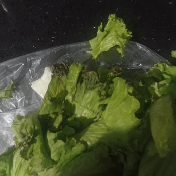 Bozuk Kıvırcık Ve Hayal Kırıklığı Yaşatan Online Alışveriş Deneyimi