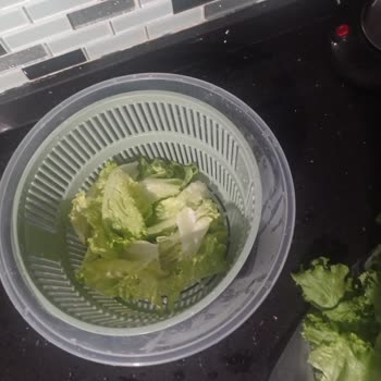 Bozuk Kıvırcık Ve Hayal Kırıklığı Yaşatan Online Alışveriş Deneyimi