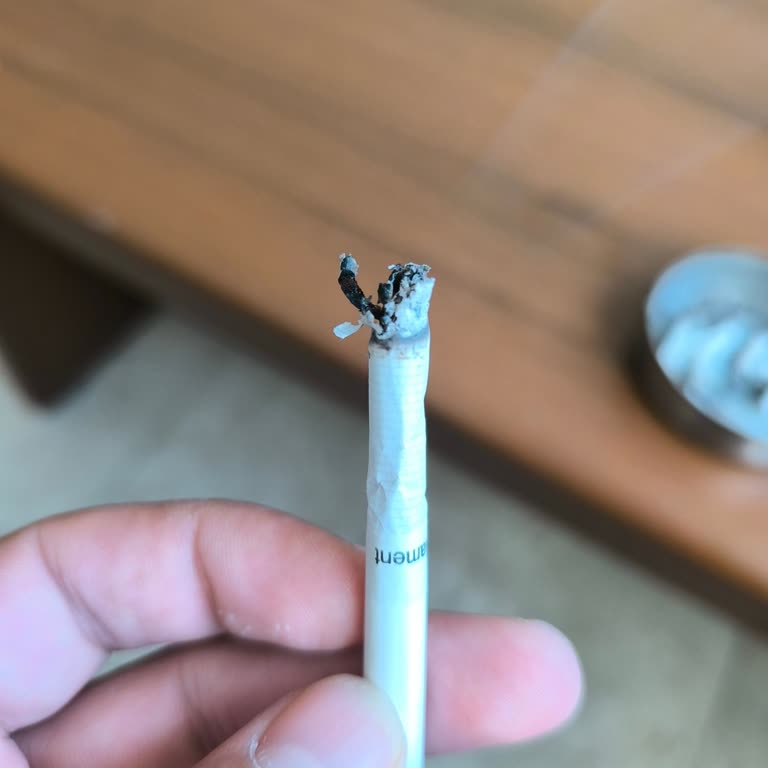 Parliament Night Blue Sigaralarında Sürekli Odun Parçası Sorunu Ve Kalite Problemi