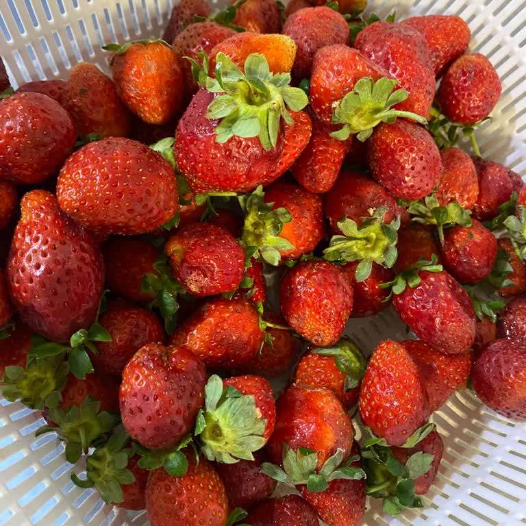 Mor Meyveler Hayal Kırıklığı Yaşadım