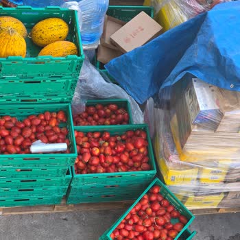 Şok Marketler Gıda Ürünlerinin Uygunsuz Koşullarda Saklanması