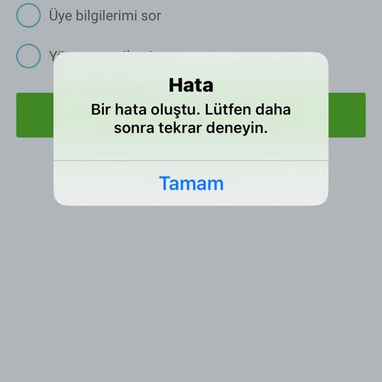 Nesine Uygulamasına Erişemiyorum, Bakiyeme Ulaşamıyorum
