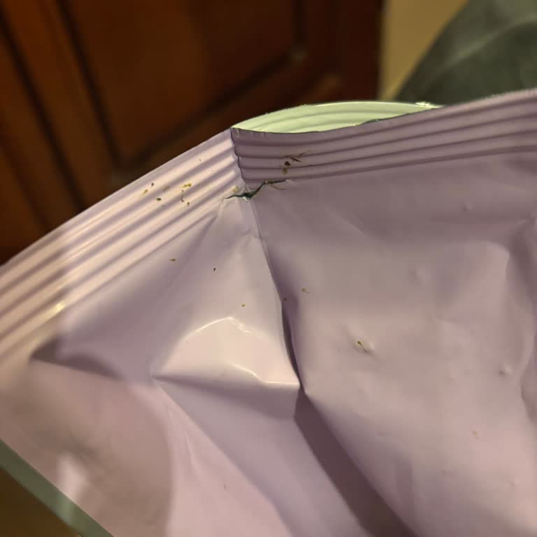 Yırtık Ve Böcekli Kedi Maması: Sağlık Ve Güven Sorunu