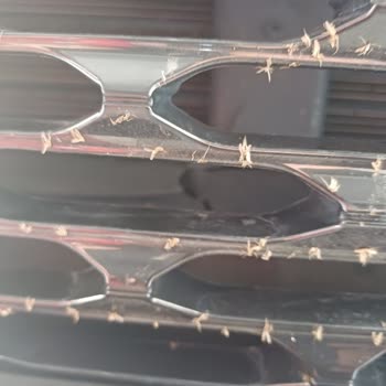 Ekspertiz Raporunda Tespit Edilmeyen Hasar Nedeniyle Maddi Mağduriyet