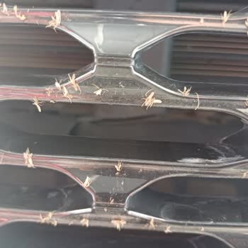 Ekspertiz Raporunda Tespit Edilmeyen Hasar Nedeniyle Maddi Mağduriyet