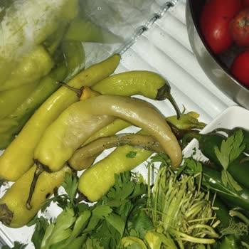 Buzdolabında Sürekli Gıda Bozulması Ve Çözüm Eksikliği Yaşıyorum