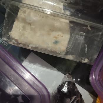 Buzdolabında Sürekli Gıda Bozulması Ve Çözüm Eksikliği Yaşıyorum