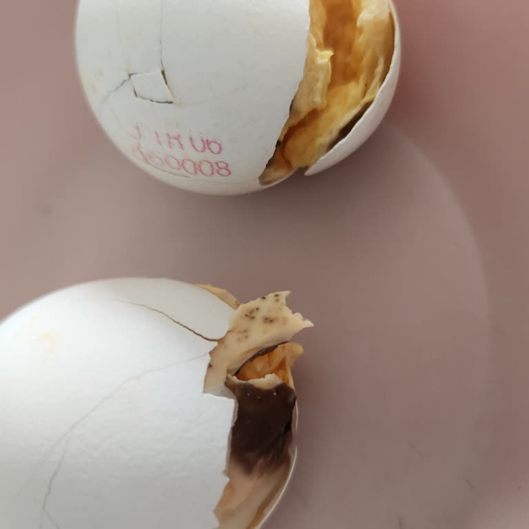 Yemeksepeti Market’ten Bozuk Ürün Ve Yetersiz Müşteri Desteği Şikayeti