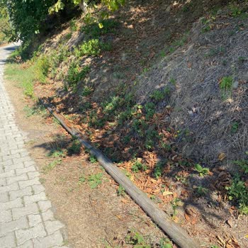 Bir Aydır Kopuk İnternet Kabloları Nedeniyle Hizmet Alamıyoruz