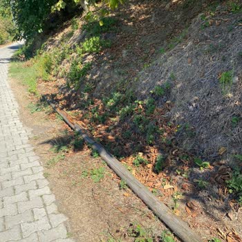 Bir Aydır Kopuk İnternet Kabloları Nedeniyle Hizmet Alamıyoruz