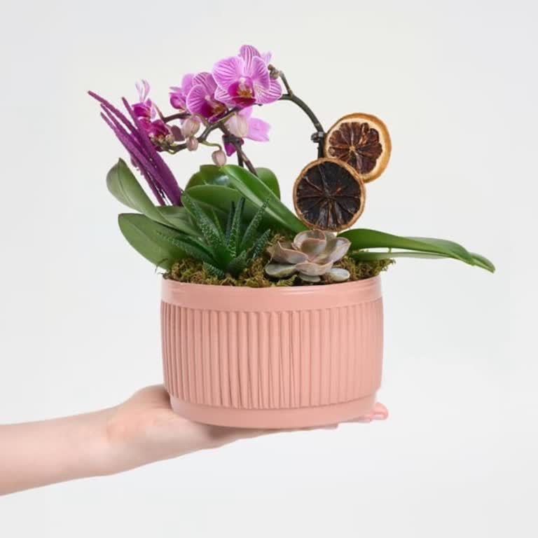 Sipariş Teslim Edilmedi, Muhatap Bulamıyorum Ve Ücret İadesi Yapılmadı