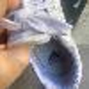 Kısa Sürede Deforme Olan Adidas Ayakkabı İçin Değişim Talebim Reddedildi