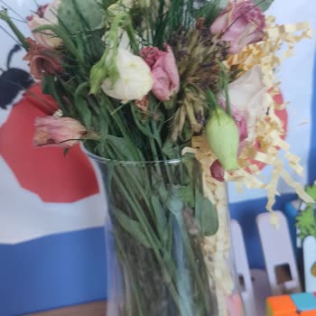 Çürük Çiçek Teslimatı Ve Yetersiz Müşteri Hizmeti Deneyimi