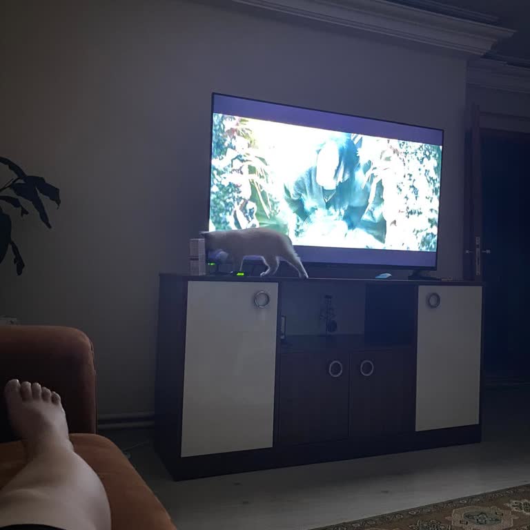 Awox A250 Televizyonda Netflix Ve HDMI Arc Sorunları Çözülmüyor