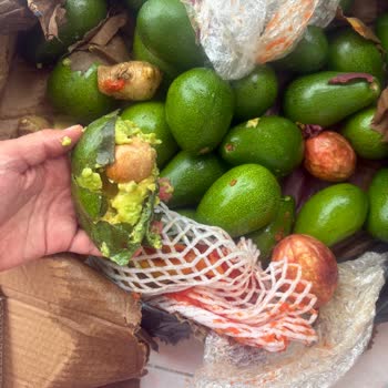 Eksik Ve Hasarlı Ürün, İade Talebine Cevap Yok!