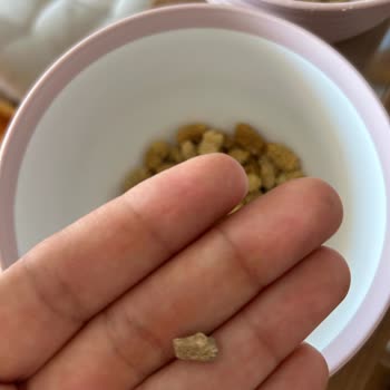 Aldığım Dut Kurusundan Taş Çıktı, Mağdur Oldum!