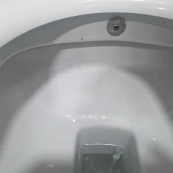 Bien Marka Klozetin Tırtıklı Yüzeyinde Çıkmayan Siyah Lekeler Oluştu