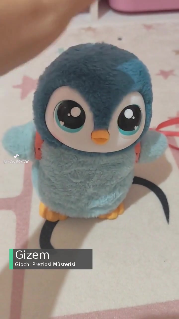 Giochi Preziosi Paytak Penguen Yürümüyor videonun kapak resmi