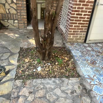 Belek Belkon Otelde Hijyen Sorunları Ve Yetersiz Hizmetle Hayal Kırıklığı