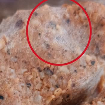 BİM'den Aldığım Çiğ Köftede İki Kez Küf Şoku!