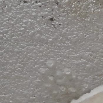 Sigorta Şirketinin Hasar Ödemesi Ve İlgisiz Yaklaşımı Mağduriyet Yarattı