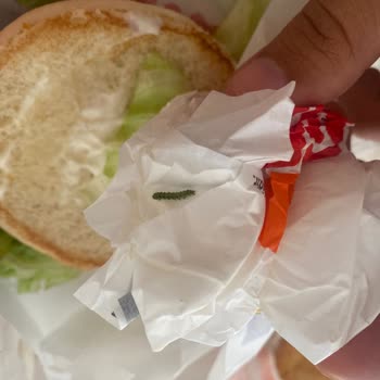 Burger King Siparişimde Hijyen Sorunu: Marulda Kurt Çıkması Ve Destek Alamama