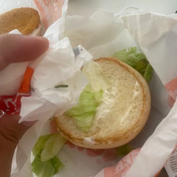 Burger King Siparişimde Hijyen Sorunu: Marulda Kurt Çıkması Ve Destek Alamama