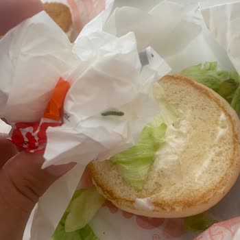 Burger King Siparişimde Hijyen Sorunu: Marulda Kurt Çıkması Ve Destek Alamama
