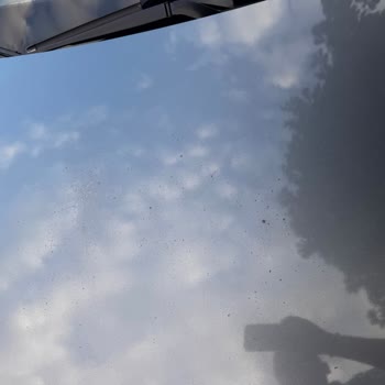Honda Civic Kaputunda Artan Boya Deformasyonu Ve Değer Kaybı Endişesi