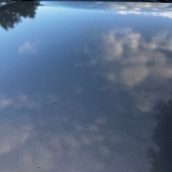 Honda Civic Kaputunda Artan Boya Deformasyonu Ve Değer Kaybı Endişesi