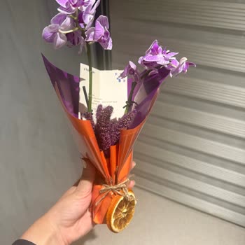 Görseldeki Ürünle Gönderilen Orkide Arasındaki Büyük Fark Hayal Kırıklığı Yarattı