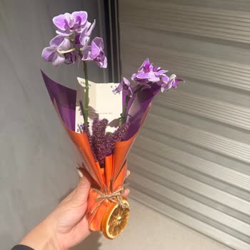 Görseldeki Ürünle Gönderilen Orkide Arasındaki Büyük Fark Hayal Kırıklığı Yarattı