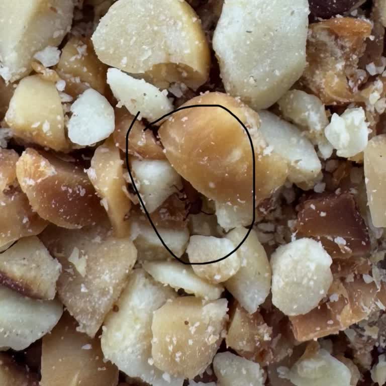 Tatlıdan Böcek Çıkması Ve İlgisiz Çalışanlar İkinci Kez Aynı Sorun