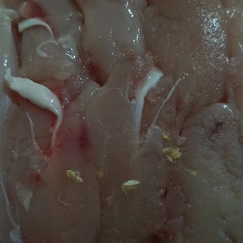 Aldığım Piliç Filetonun Üzerinde Yabancı Maddeyle Karşılaştım
