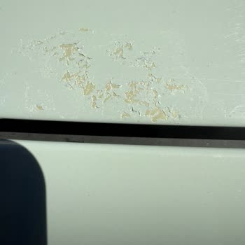 Yeni Ford Puma'nın Boya Kalitesi Ve Garanti Kapsamında Destek Sorunu