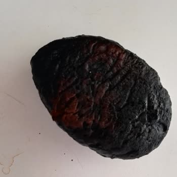 Kumtel Mikrodalga Fırın Yanma Ve Güvenlik Sorunu, Servisten Ve Müşteri Hizmetlerinden Çözüm Alamama