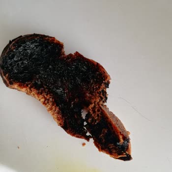 Kumtel Mikrodalga Fırın Yanma Ve Güvenlik Sorunu, Servisten Ve Müşteri Hizmetlerinden Çözüm Alamama