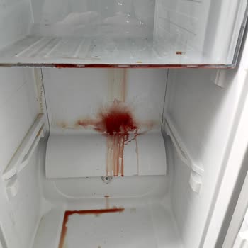 Yeni Alınan Derin Dondurucu Arızalandı, Ürün Değişimi Ve Zararın Karşılanmasını Talep Ediyorum