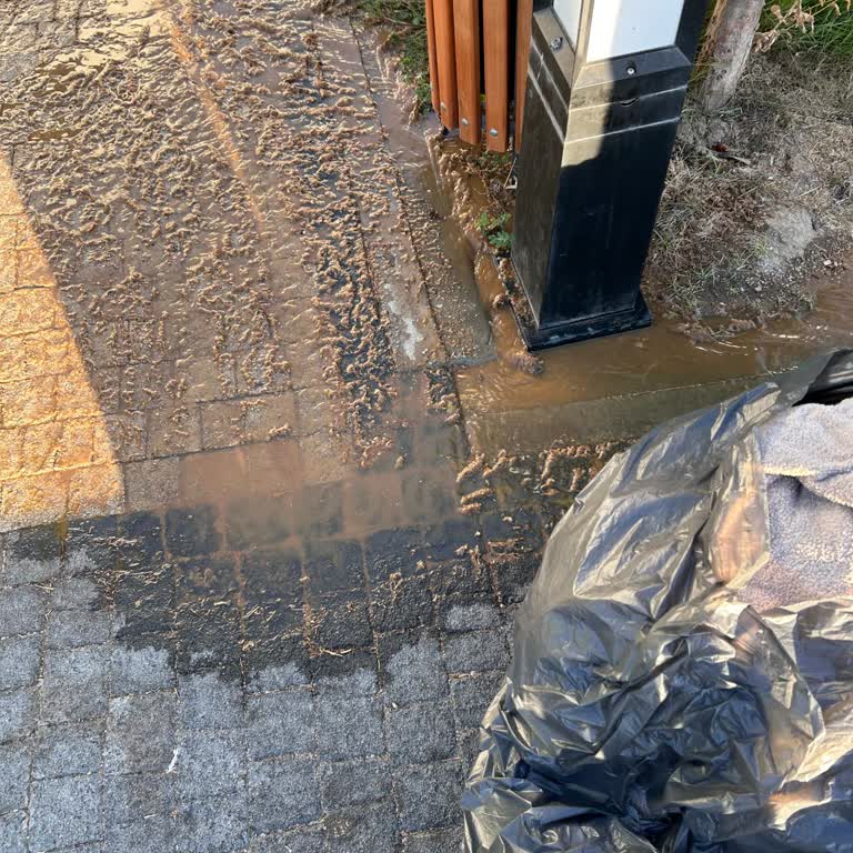 Bodrum Asri Ala'da Temizlik Ve Konfor Sorunları Yaşadım