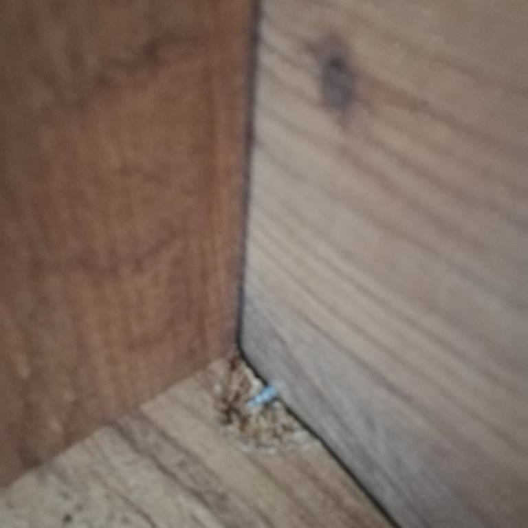 Ayıplı Masa, Çözülmeyen İade Talebi Ve Uzayan Mağduriyet